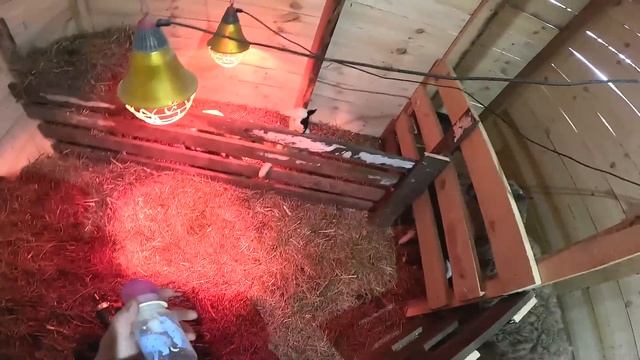 Я БУДУ ИХ РЕЗАТЬ ! КОГДА ЭТО ЗАКОНЧИТСЯ ? КУПИЛ ХУТОР В ЛЕСУ 248