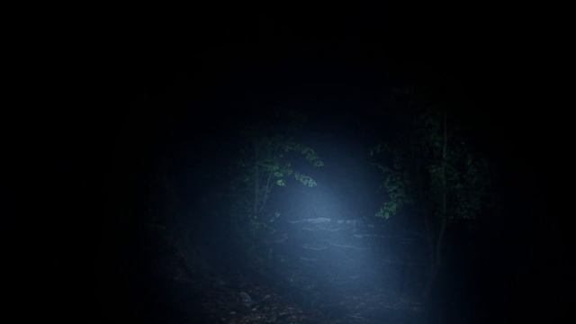 Exanimum: The Silent Call [полное прохождение] смотреть онлайн
