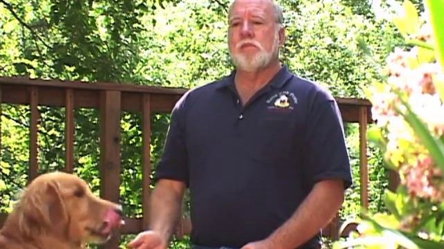 Paul Owens, the Original Dog Whisperer - Focus смотреть онлайн
