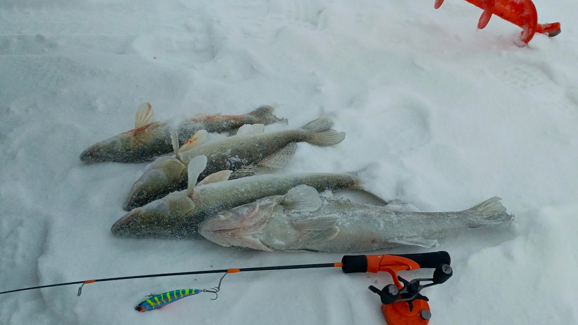 ШТОРМОВОЙ ВЕТЕР......НЕ НЕ СЛЫШАЛ.РЫБАЛКА НА СУДАКА В СИЛЬНЫЙ ВЕТЕР.ПОПАЛИ НА ВЕЧЕРНИЙ ХАПОК. смотреть онлайн