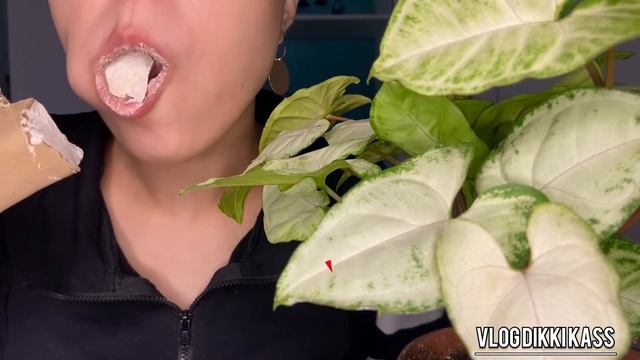 Мороженое в шоколадной глазури «МАГНАТ»🤍🍫|| MUKBANG смотреть онлайн