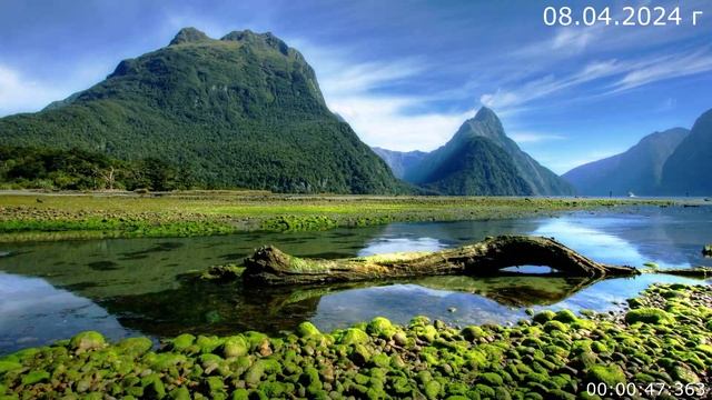 903 08.04.2024 г смотреть онлайн