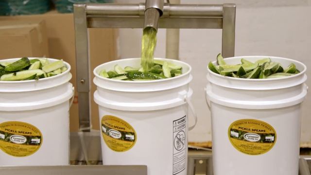 The Medi Dog | Top Dog смотреть онлайн