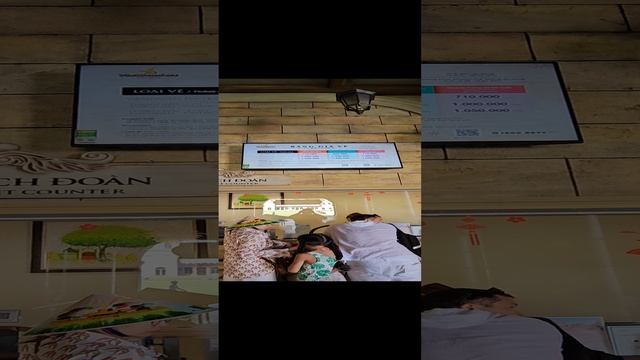 Цена билета в парк развлечений.VinWonders смотреть онлайн