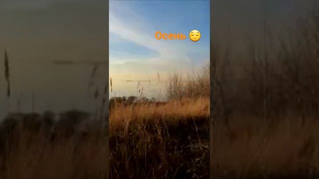 Шикарная осень..2022г#музыкатоп#новаямузыка#песниолюбви#новыепесни#игорькибирев#laif#новыйальбом смотреть онлайн