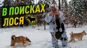 Охота на лося.