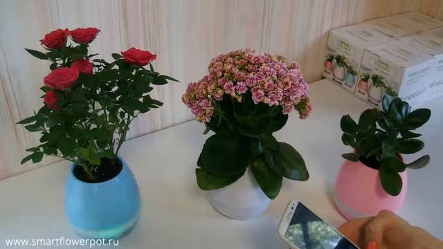 SMART MUSIC FLOWER POT / УМНЫЙ МУЗЫКАЛЬНЫЙ ГОРШОК ПИАНИНО смотреть онлайн