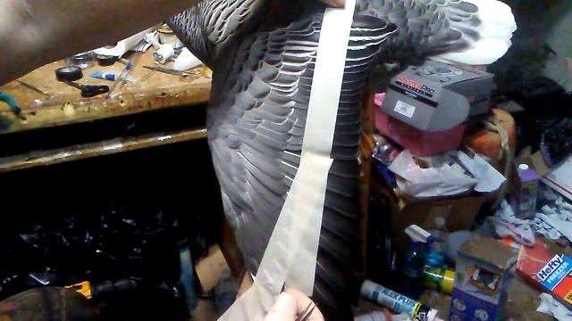 AAR TAXIDERMY Emperor Goose Wing Feather Taping Process Bird Mounting смотреть онлайн