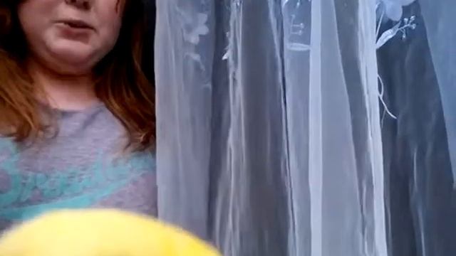 Прогулка попугая//ГЕША🐤🐥🌿🌝🌚🌎 смотреть онлайн