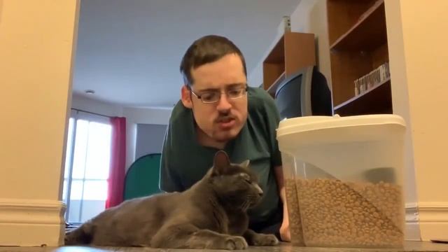 CAT DIET 😼 - Ricky Berwick смотреть онлайн