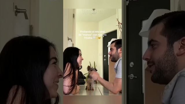 #Собаки #Dogs #Animalfun #смешныесобаки#самыймилыйтренд смотреть онлайн