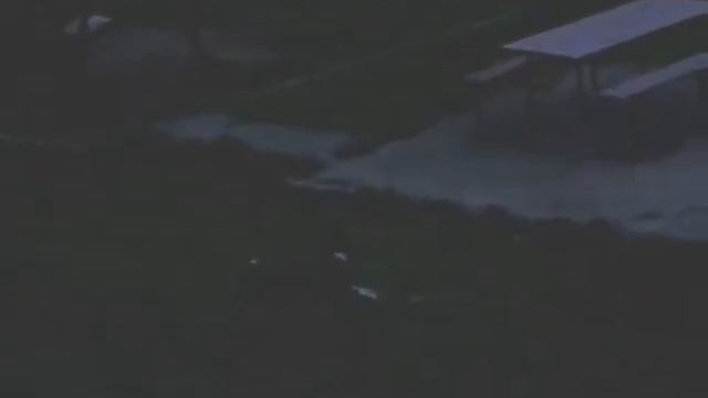 Собака играет сама с сабой во дворе.... смотреть онлайн