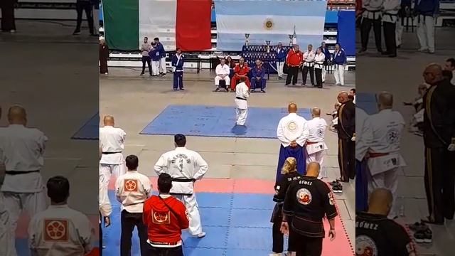World Championship Mar Del Plata #karatedo  #shorinjiryu #okinawa #martialarts #shorinjikan #rohai