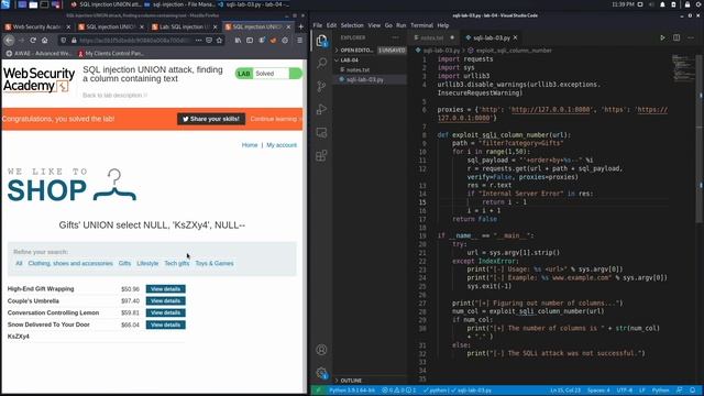 05. Lab 4 - SQL injection UNION attack, finding a column containing text смотреть онлайн