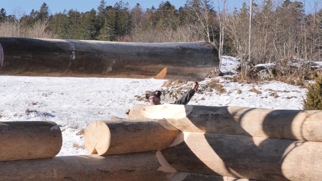 Building LOG CABIN in the Nature-S1 Ep 7 / On The Halfway Through смотреть онлайн