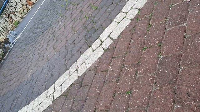 #кошки едят только у себя смотреть онлайн