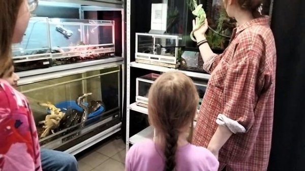 кафе Жучки-паучки на Соколе