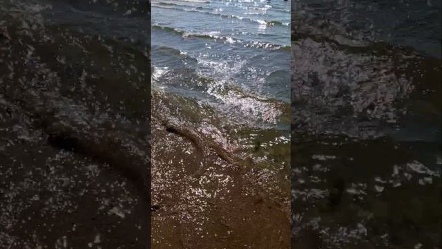 Морской релакс #анапа #море #песчаный берег @Sprosi_popdog смотреть онлайн
