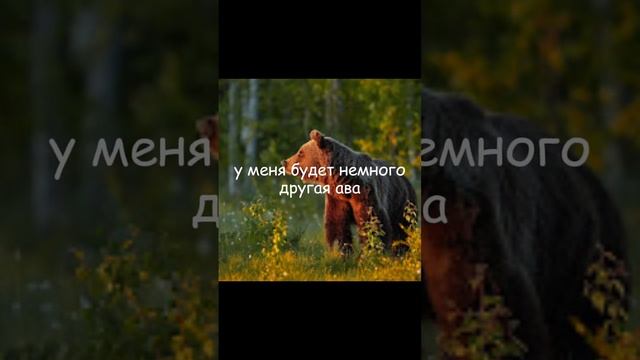 последнее видео #крд