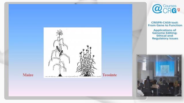 Speaker 5, Pere Puigdomènech (CRAG, Spain): Applications of Genome Editing: ethical & Regulatory.. смотреть онлайн