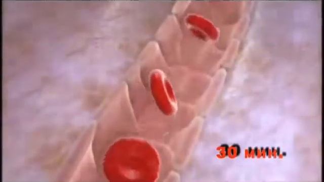 Что с вашим иммунитетом? смотреть онлайн
