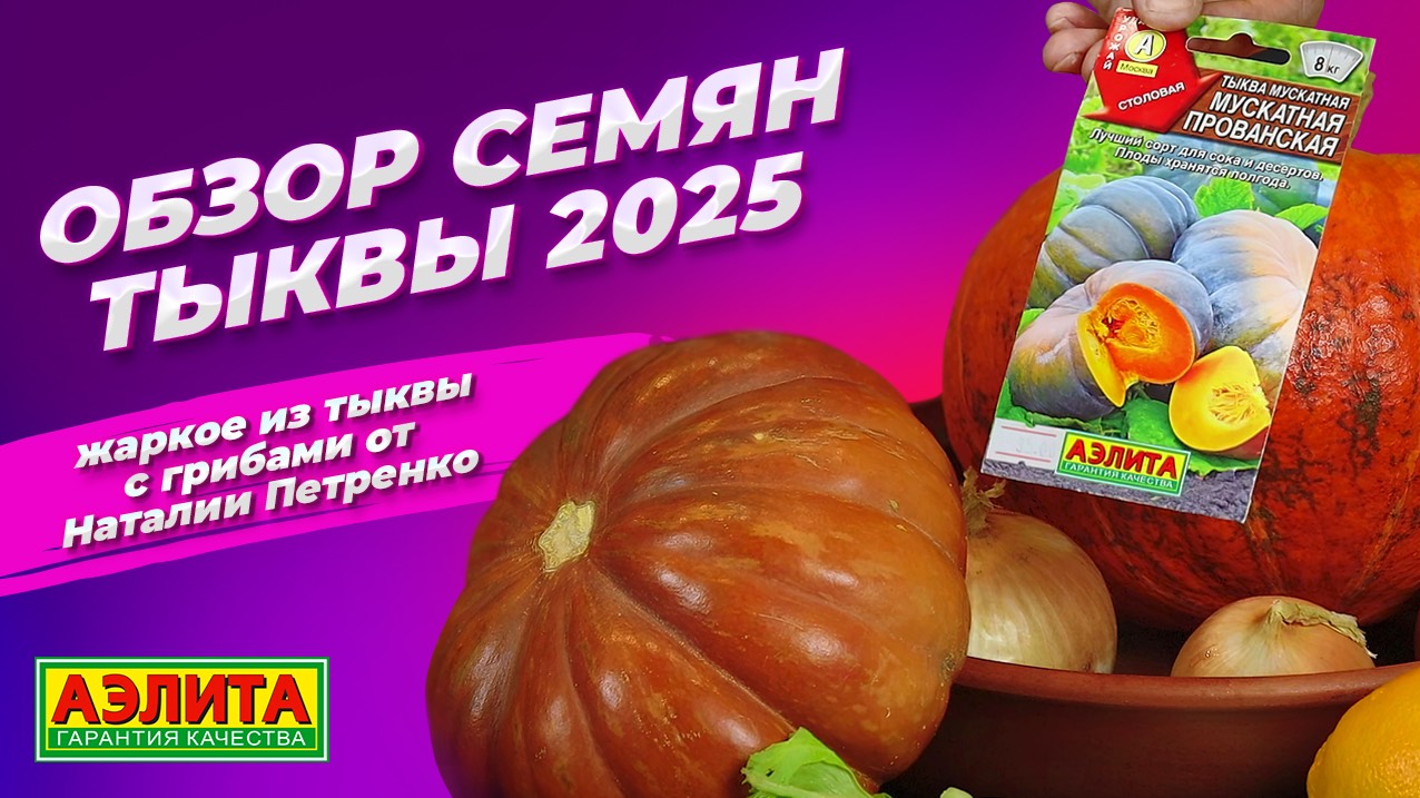СЕМЕНА ТЫКВЫ на 2025. Рецепт жаркого из тыквы с грибами. смотреть онлайн