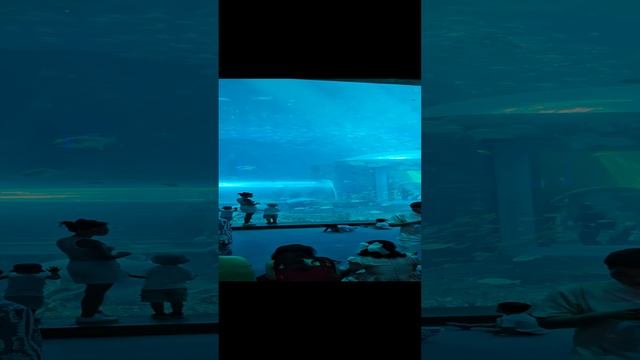 Парк развлечений/VinWonders/Океанариум смотреть онлайн