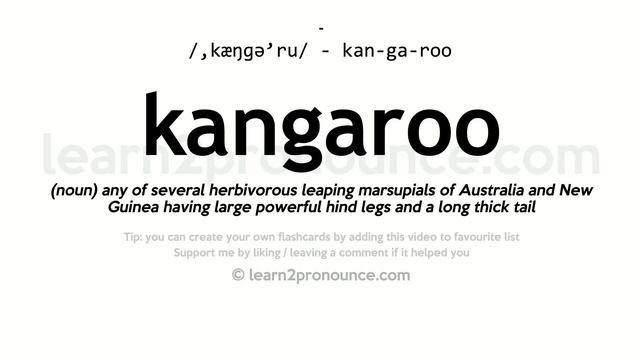 Pronunciation of Kangaroo | Definition of Kangaroo смотреть онлайн