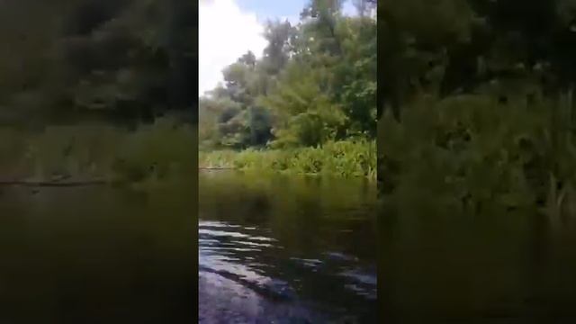 Река Оскол Сплав! смотреть онлайн