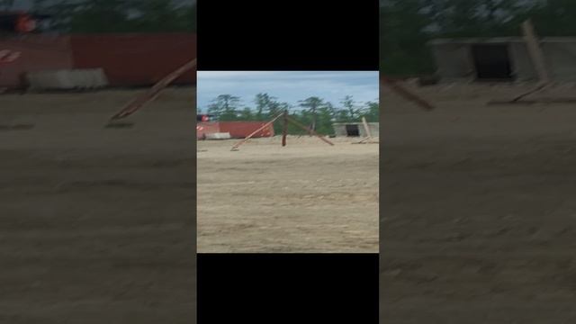 Бурый медведь смотреть онлайн