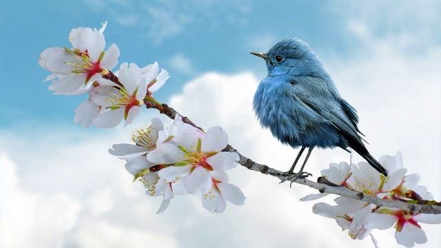 Книга пророка Исаии глава 64. смотреть онлайн