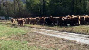 Жизнь в Швейцарии. Swiss life