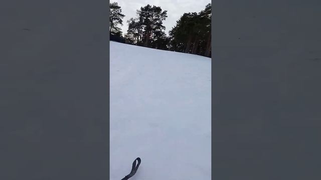 Гуляем с Максом Pro_nub и катаемся на ледянках 😎😂🤣😅 смотреть онлайн