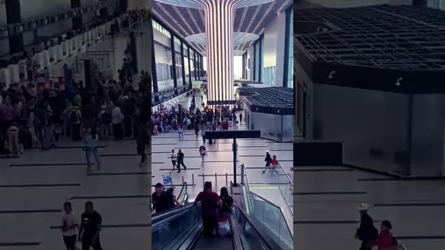 Аэропорт Новосибирск #2023#аэропорт#рейсы #новосибирск#еленаваенга#красивыепесниолюбви смотреть онлайн