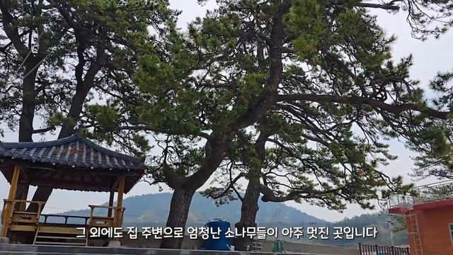 🚅 드디어 전구간 개통! 눈을 의심케 하는 국내 최고의 '18km' 절벽길 | 📸 대중교통 당일치기 여행 |🇰🇷 Best Cliff Trekking in KOREA смотреть онлайн