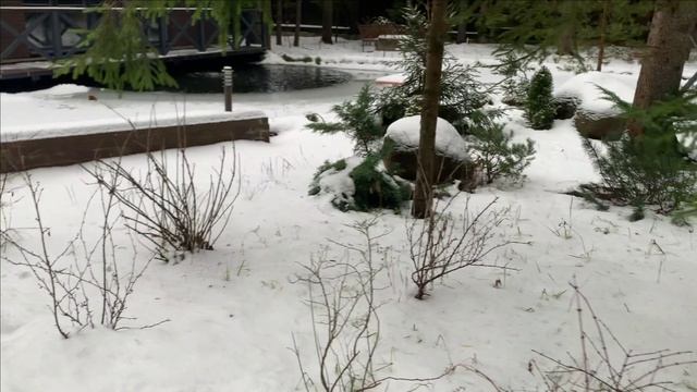 Новости с пруда.Предновогоднее смотреть онлайн