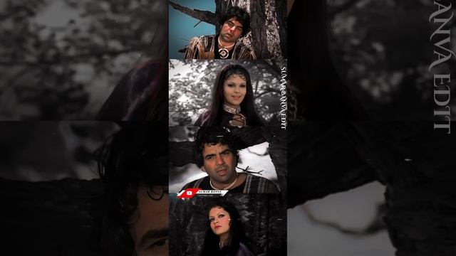O Meri Mehbooba#dharmendrasongs#zeenatamansongsstatus#mohammadrafi#love#90s#old#lovestatus#full