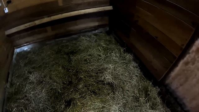 ПОЖАР НАЧИНАЕТСЯ С ЭЛЕКТРОПРОВОДКИ ! ЗАМКНУЛО ! КУПИЛ ХУТОР В ЛЕСУ 251
