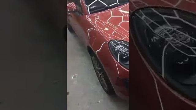 Видео WhatsApp 2024 07 21 в 11 55 03 7e7a8dd9