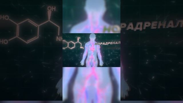 Invigorating Lectures