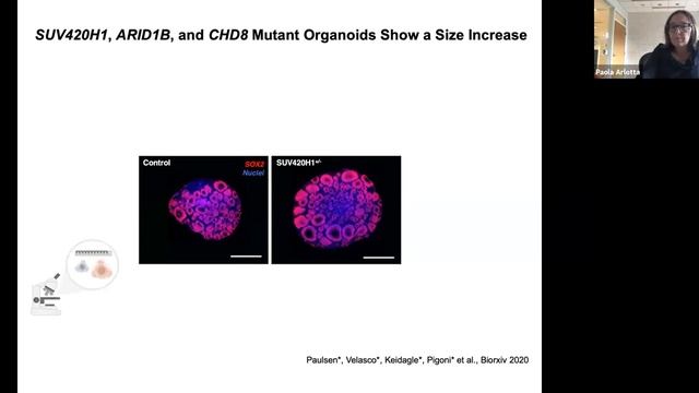 Brain Organoids 101 смотреть онлайн