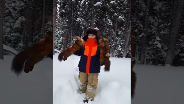 marten trapping dec 2016 смотреть онлайн