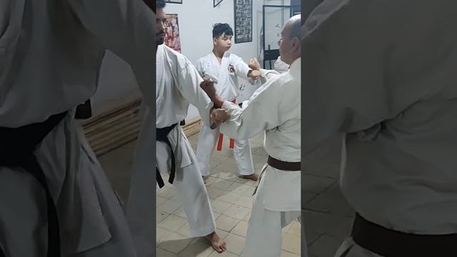 karate Do Goju Ryu Jinbukai Dojo Ryu Kyu Sensei Walter Herrera смотреть онлайн
