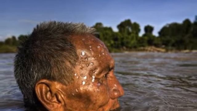 Mekong River смотреть онлайн