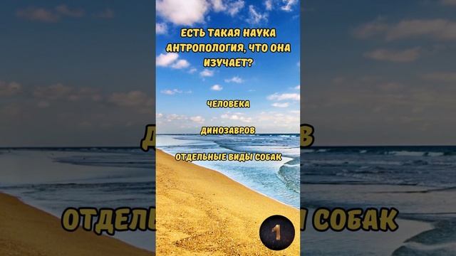 Викторина "Тест на эрудицию: Разнообразные вопросы" №16 #викторина #эрудиция #квиз #тест смотреть онлайн