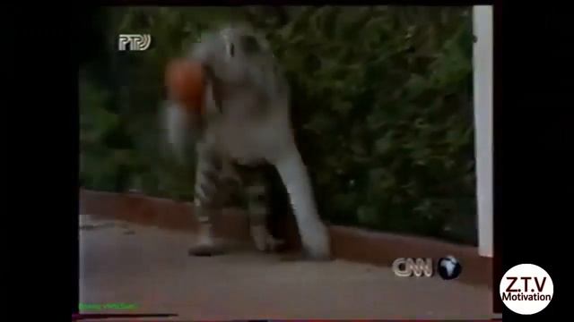 Mike Tyson I`M Okay (Я в Порядке) смотреть онлайн