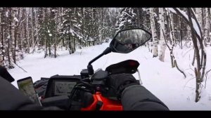 Кто круче? Стелс Гепард 850 или Шармакс 1100?