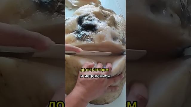 Земляной гриб смотреть онлайн