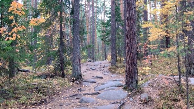 Природа и спокойная музыка - 65. Чертово городище