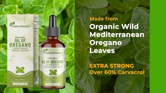 Benefits of Oregano Oil – Immune Support & Natural Defense! смотреть онлайн